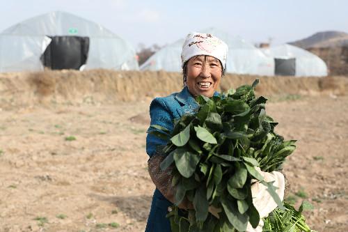 洪河村群眾的心里話：脫貧致富，計(jì)劃得先行