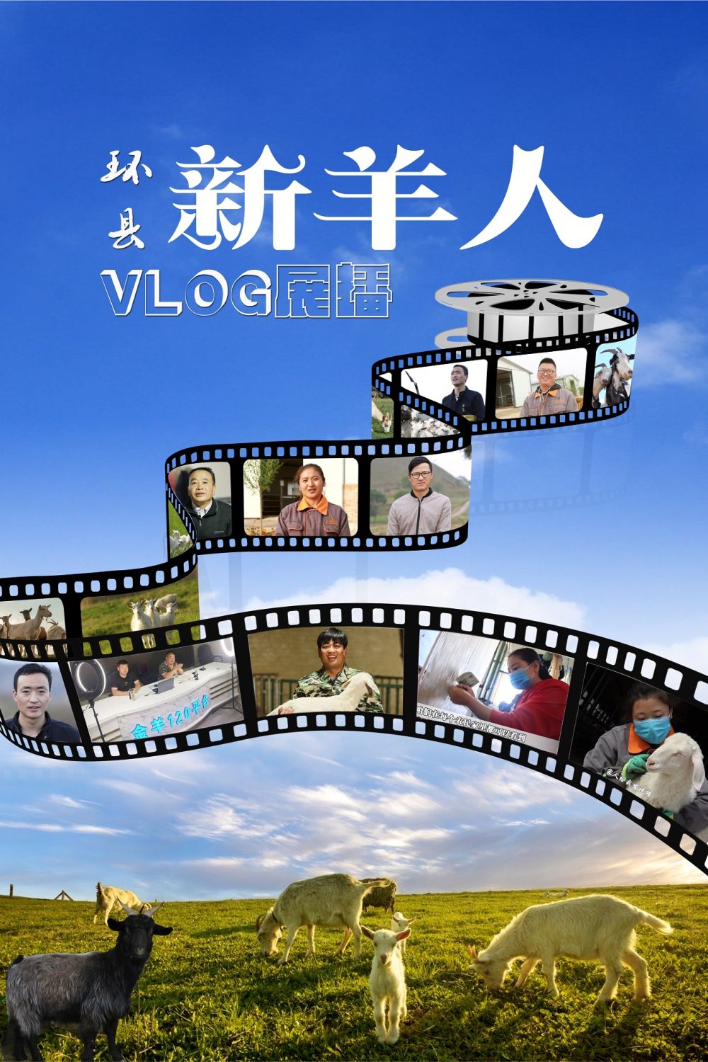 【環(huán)縣“新羊人”VLOG展播】“養(yǎng)殖場(chǎng)的女能手”郭貴賢