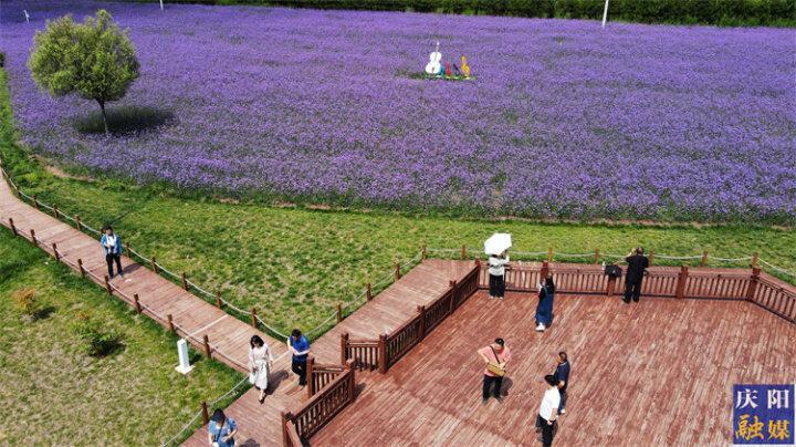 【攝影報(bào)道】花溪谷景區(qū)目前客流量已達(dá)5萬多人  旅游綜合收入達(dá)130多萬元