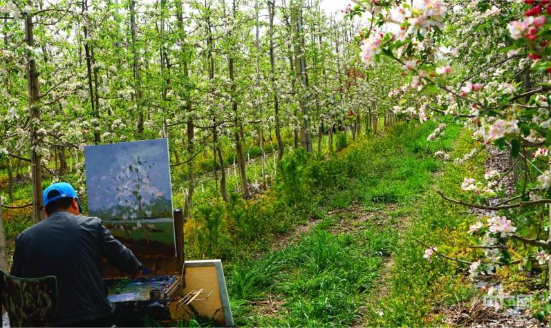 甘肅慶陽完成早春開花類作物承保18多萬畝