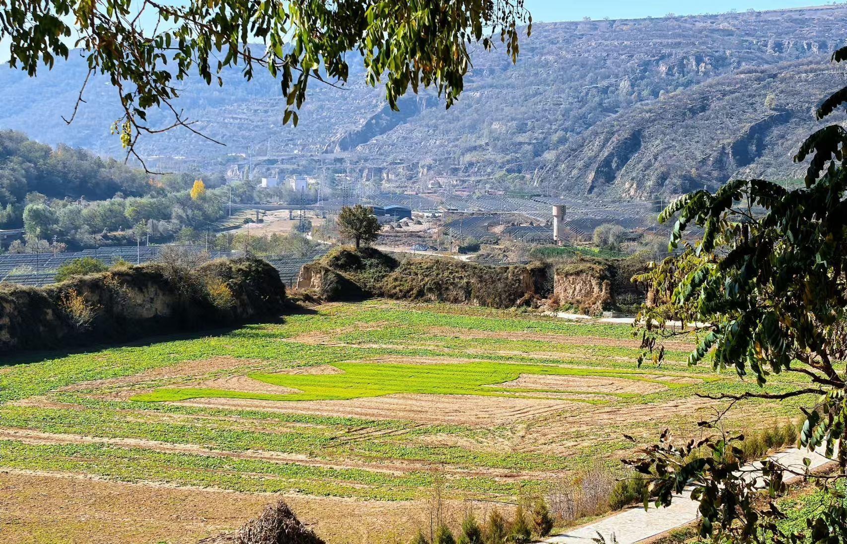 華池縣城壕鎮(zhèn)余家砭村：黨旗領(lǐng)航拓新路 凝心聚力促振興